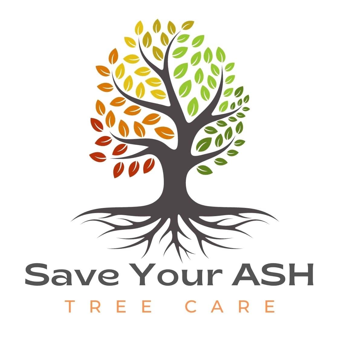 Save Your ASH Tree Care